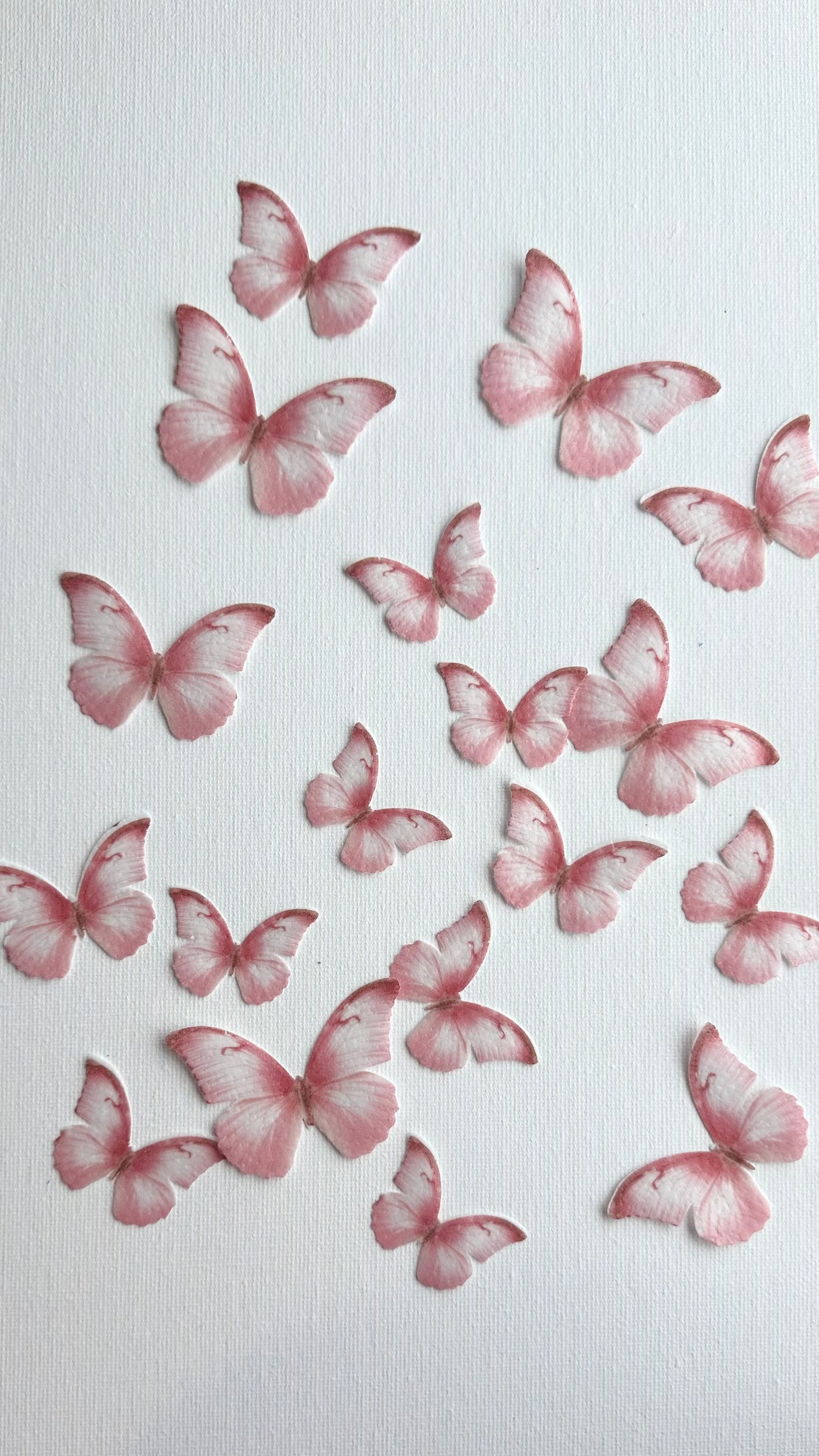 Pink wafer butterflies- pack of 22