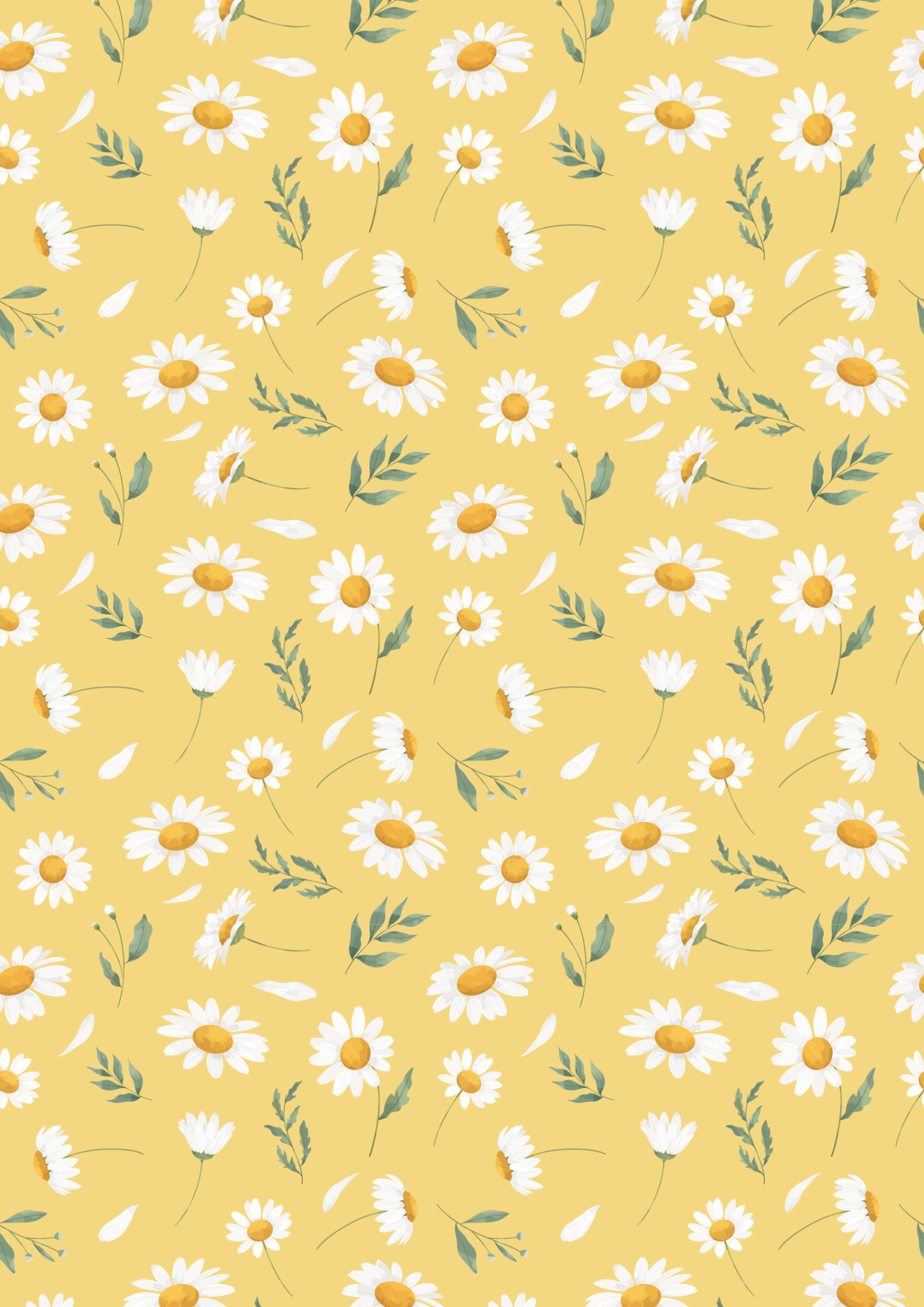 Daisy - A4 edible image