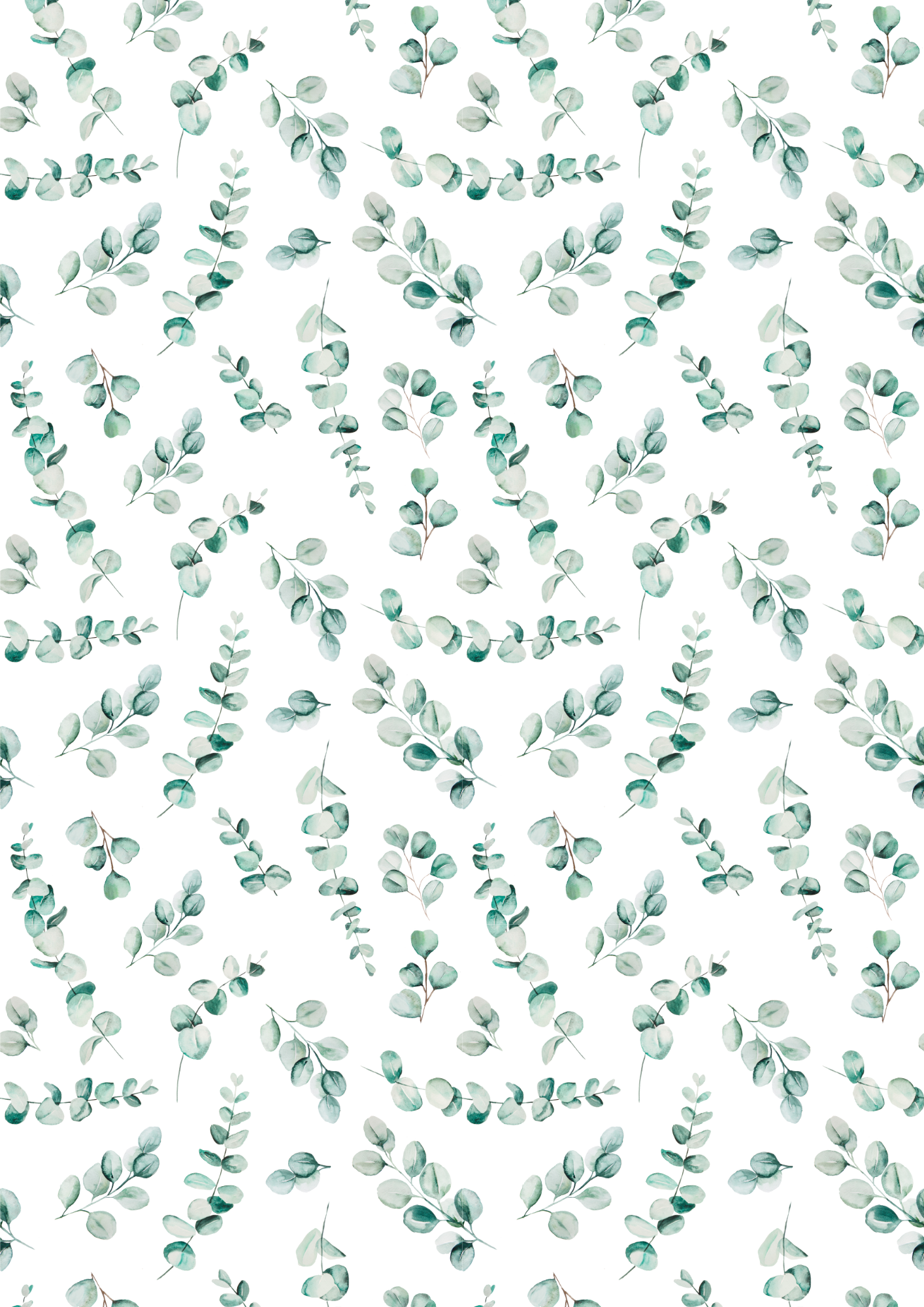 Eucalyptus - A4 edible image